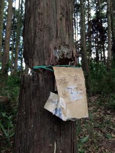 11902344_873126389431729_6767571238330718939_n