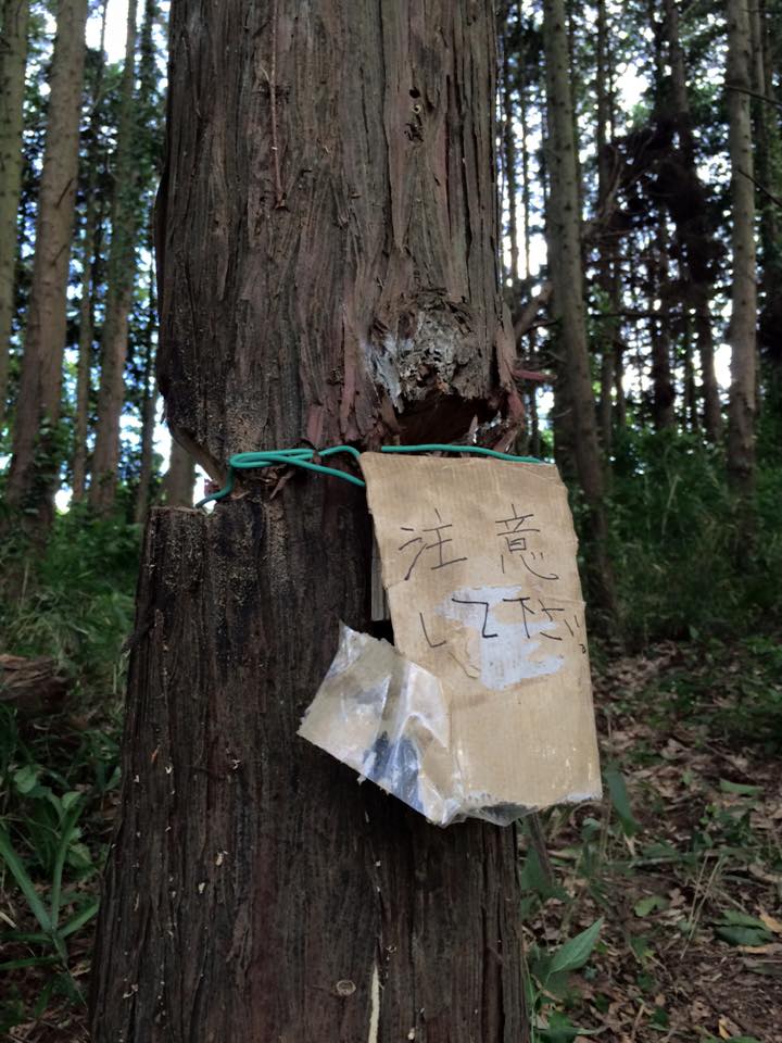 第2回茨城の森遠征