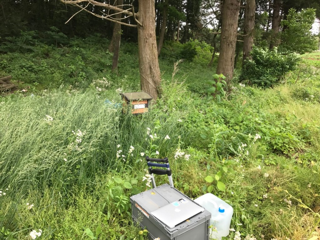 今年も畑を耕しにきた