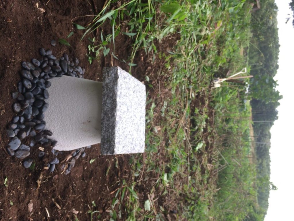 8月も終わりの森にやってきました