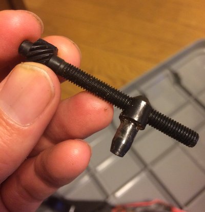 第5回茨城の森遠征