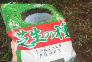 芝生が隆盛になりました