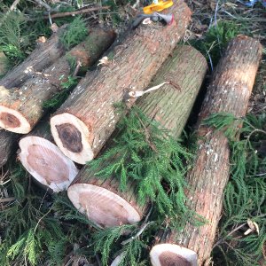 第7回茨城の森遠征