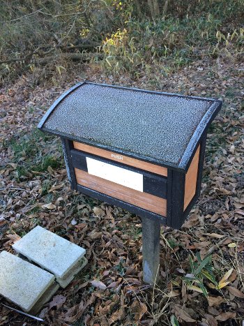 第6回 茨城の森遠征