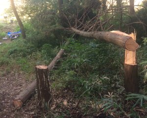 第3回茨城の森遠征