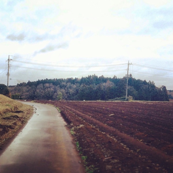 森を手に入れた