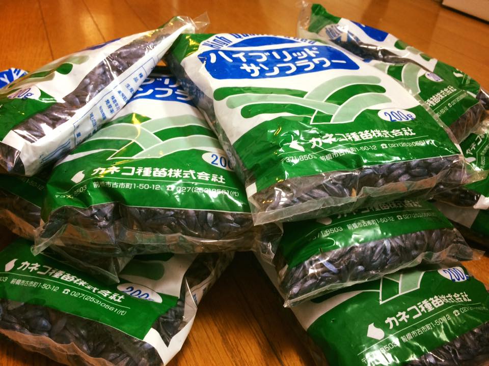 森にひまわりを大量に植えて一大観光地にしようぜ！って