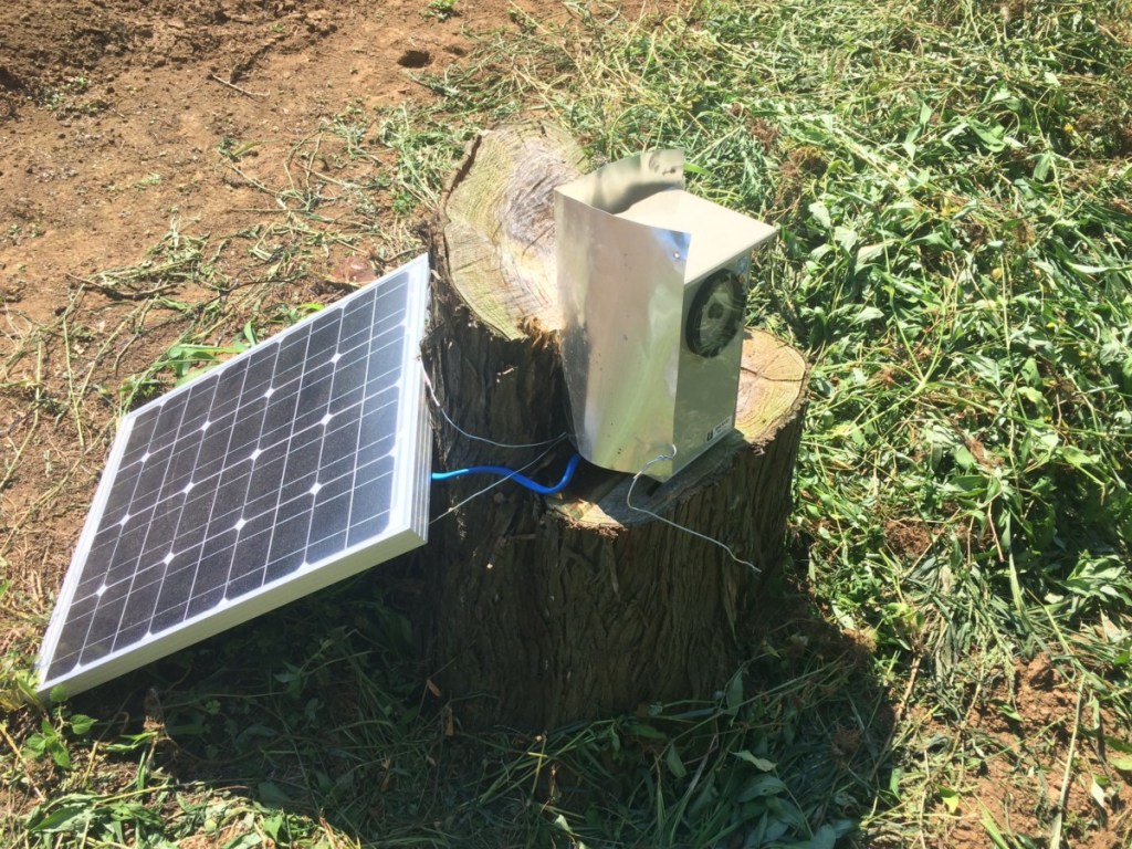 森モニタリングを現地ではじめました